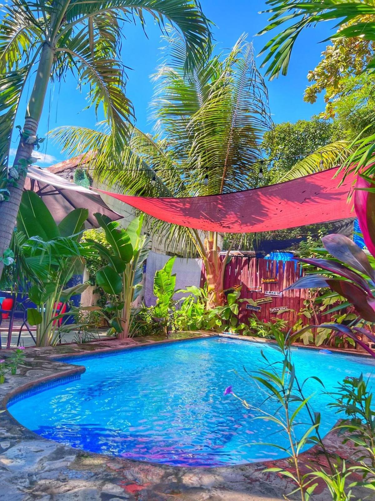 Hotel Al Sole León المظهر الخارجي الصورة
